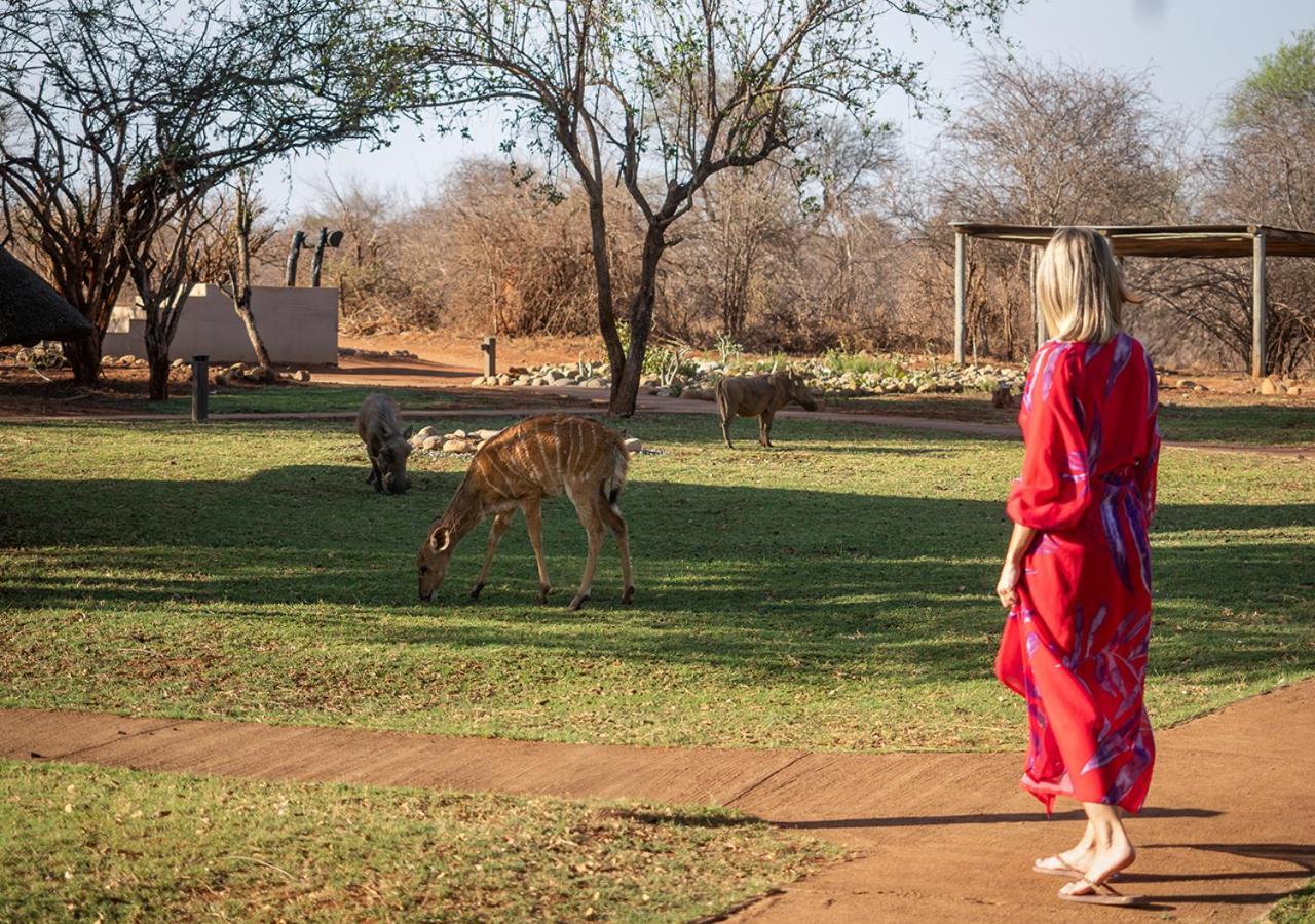aha Makalali Private Game Lodge Makalali Game Reserve Bagian luar foto