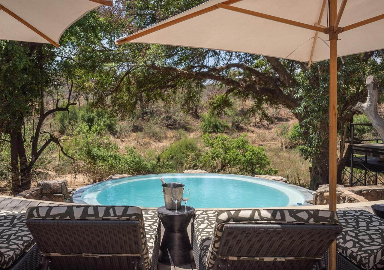 aha Makalali Private Game Lodge Makalali Game Reserve Bagian luar foto
